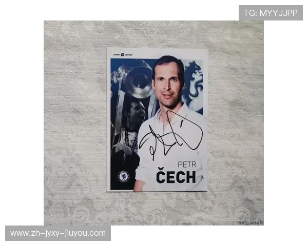 切赫作为英超最佳球员的职业生涯总结