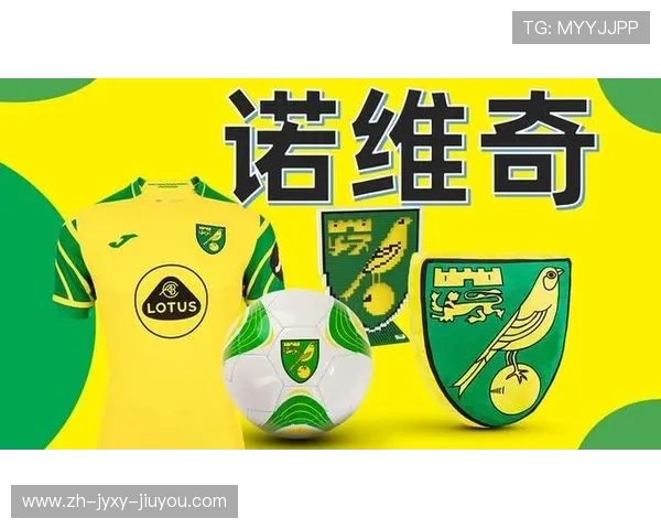 英超球队诺维奇市值分析及其在联赛中的竞争地位探讨