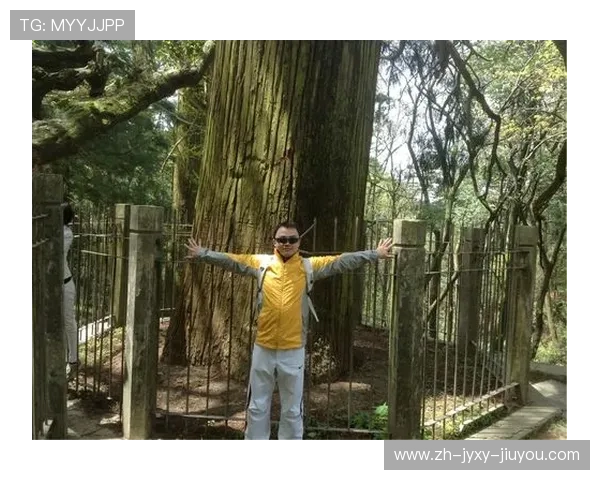 江西庐山风筝精英赛启动筹备关于选派赛事工作机构人员的通知