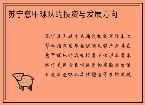 苏宁意甲球队的投资与发展方向